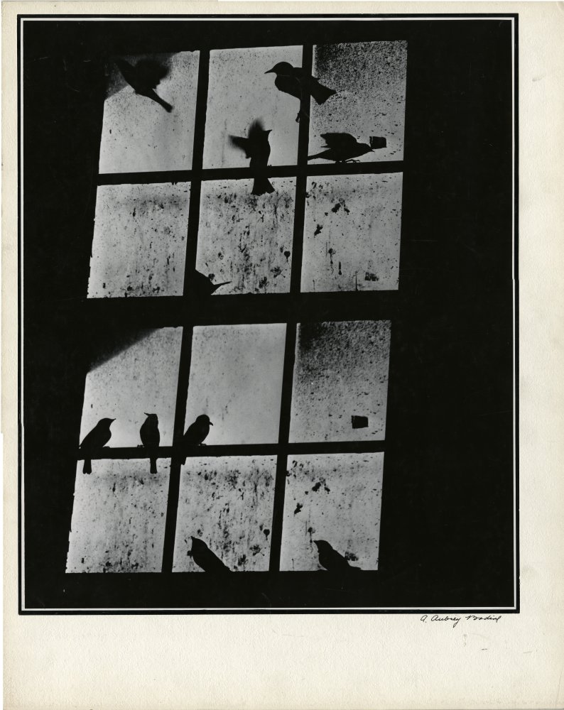 Click for larger image